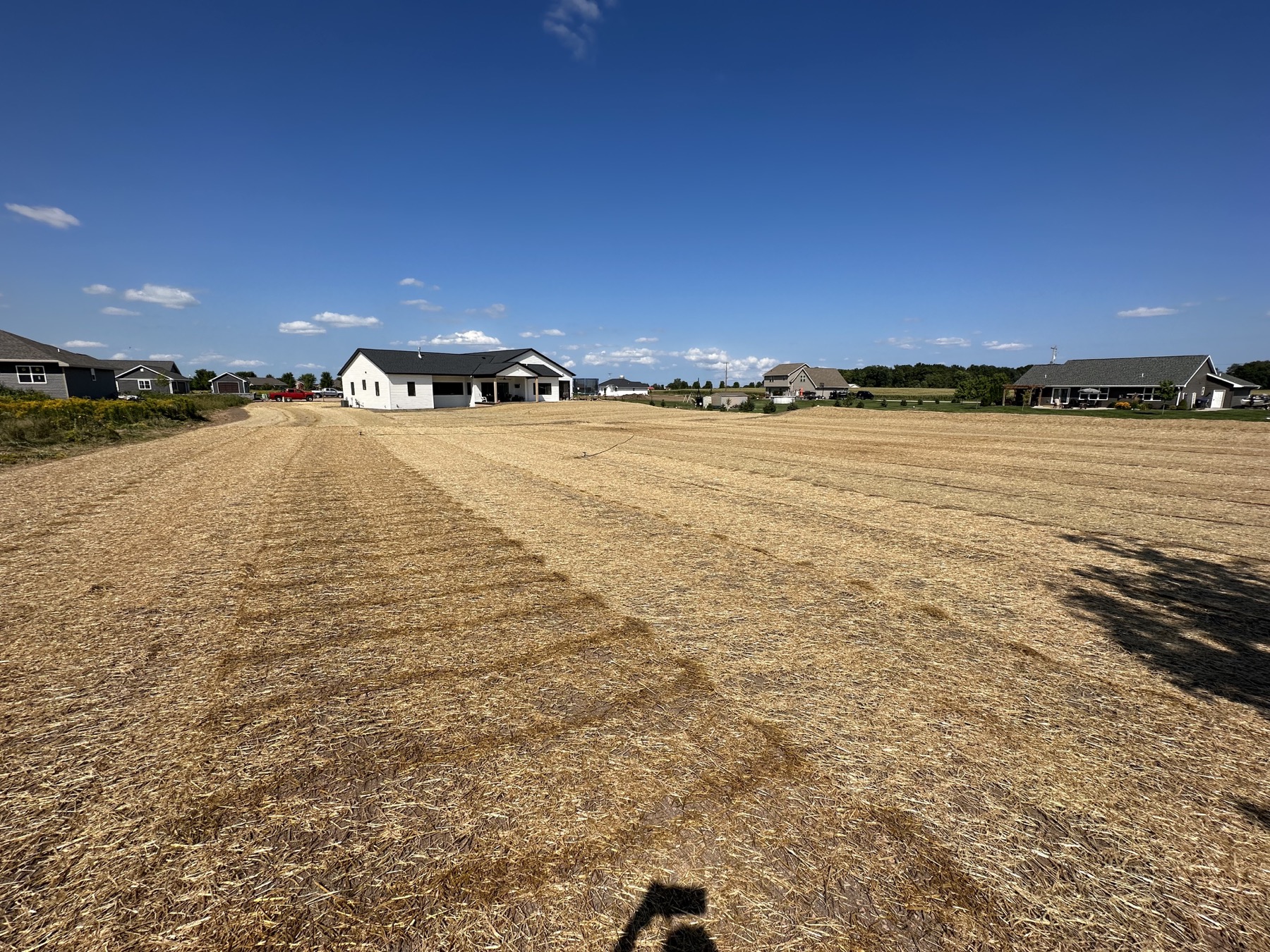 Lawn installation project